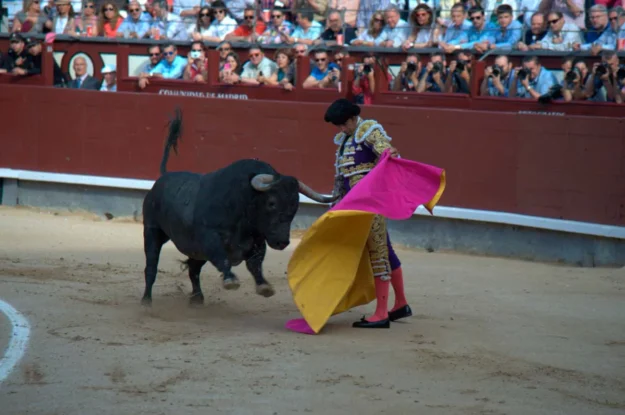 cuanto vale un traje de torero
